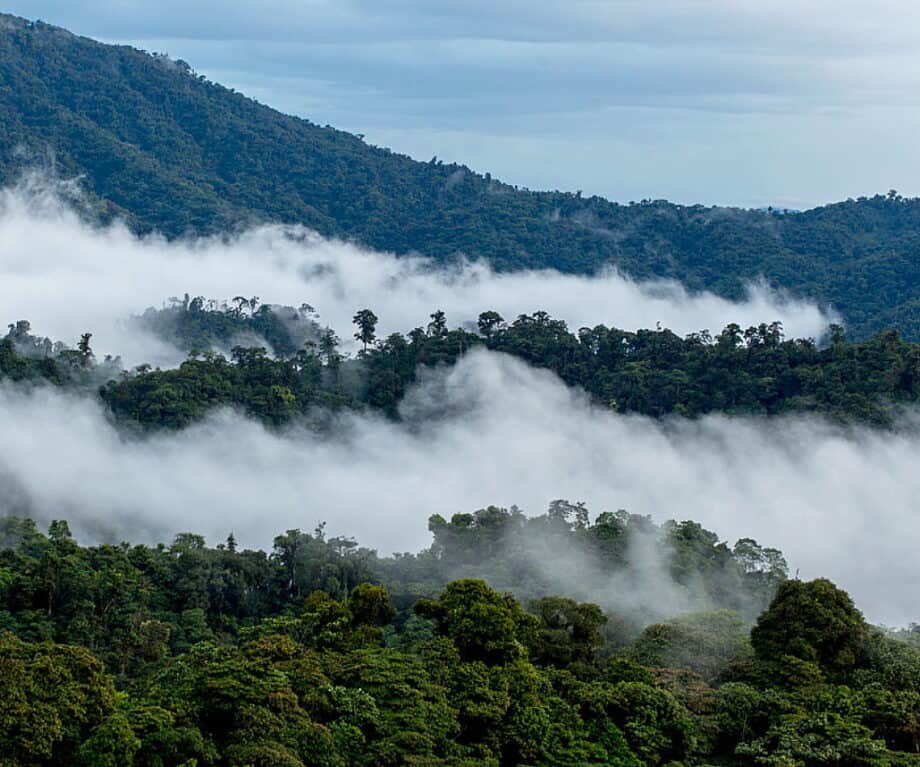 Andean Cloud Forest Retreat